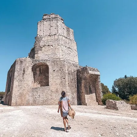 T2 Cosy Avec Clim Cour Charme & Fraicheur A * Nimes